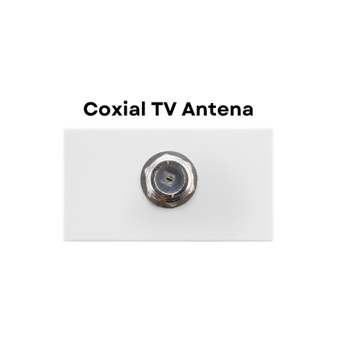 Módulo Recta Satin - Coxial Antena TV - Branco - BLux